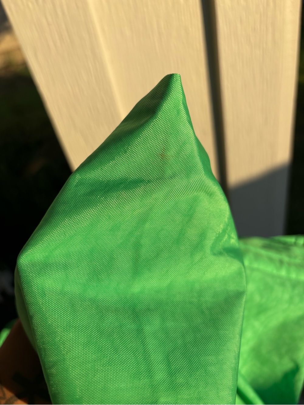 [RESERVED for 👽💚] Baggu Mini Cloud in Aloe - Picture 6 of 8